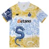 FC Porto Dragon Paita 2025-26 Limited edition