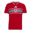 Wales Kotipelipaita Mm-Kisat 2026