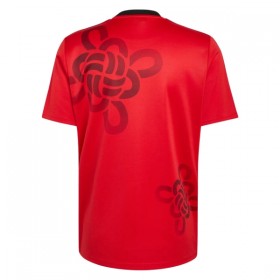 Manchester United Cultural Story Paita 2025-26
