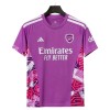 Arsenal Maalivahti Paita Violetti 2026-27