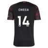 Liverpool Chiesa 14 Kolmaspelipaita 2026-27